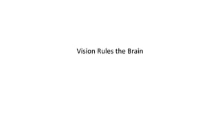 Vision Rules the Brain
 