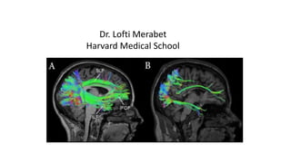 Dr. Lofti Merabet
Harvard Medical School
 