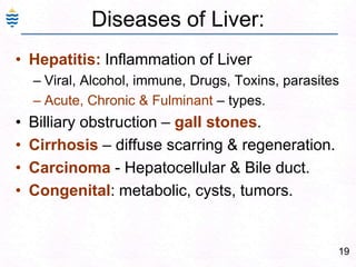 Obstruction to bile excretion.16Liver Function Tests: InterpretationSynthesis / function defect.Total protein & albumin low,  PT prolonged why?Bile Obstruction.Alk Phos – markedly increased – why?Hepatocyte Injury.ALT, AST - high. – why?Alk Phos – moderately increased. – why?Other:GGT – increased with alcohol use. – why?Viral serology - Auto-Antibody panel. Clinical FeaturesFever 