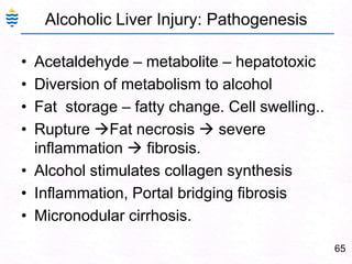 36Acute viral Hepatitis: