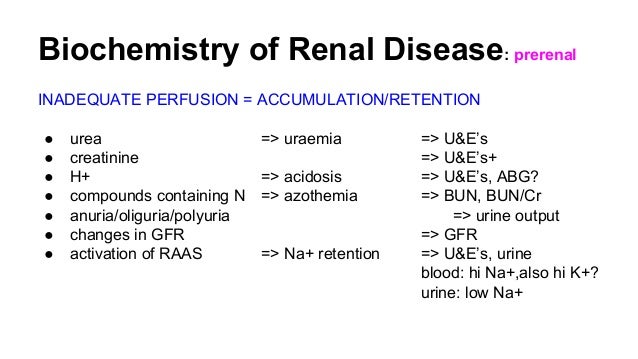 Renal Pathology Tutorial