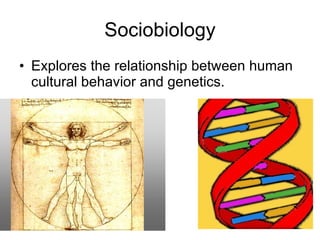 Sociobiology Explores the relationship between human cultural behavior and genetics. 