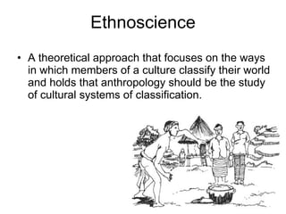 Ethnoscience A theoretical approach that focuses on the ways in which members of a culture classify their world and holds that anthropology should be the study of cultural systems of classification.  