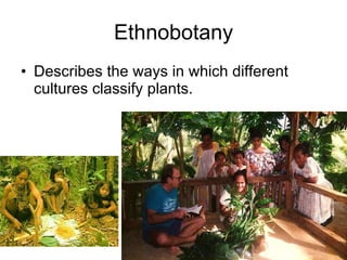 Ethnobotany Describes the ways in which different cultures classify plants. 