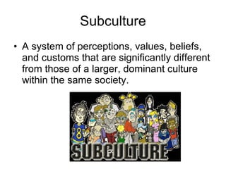 Subculture A system of perceptions, values, beliefs, and customs that are significantly different from those of a larger, dominant culture within the same society. 