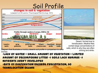 Soil Profile




                                                                                           Alkaline flat in the Alvord
                                                                                              Desert, formed due to
                                                                                        translocation. Alkaline flats
                                                                                   contain large concentrations of
                                                                                 salts, which is why they are often
Diagram that illustrates a hot/dry deserts soil profile in comparison to other                    shining and white.
biomes
 •Lack of water = small amount of vegetation = limited
 amount of decomposing litter -> soils lack hummus ->
 nutrients aren’t developed
 •Rate of evaporation exceeds precipitation, so
 translocation occurs
 