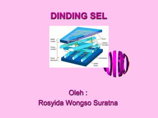 DINDING SEL
Oleh :
Rosyida Wongso Suratna
 