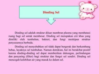 Dinding sel adalah struktur diluar membran plasma yang membatasi
ruang bagi sel untuk membesar. Dinding sel merupakan ciri khas yang
dimiliki oleh tumbuhan, bakteri, dan fungi meskipun struktur
penyusunnya berbeda.
Dinding sel menyebabkan sel tidak dapat bergerak dan berkembang
bebas, layaknya sel tumbuhan. Namun demikian, hal ini berakibat positif
karena dinding-dinding sel dapat memberikan dukungan, perlindungan
dan penyaring (filter) bagi struktur dan fungsi sel sendiri. Dinding sel
mencegah kelebihan air yang masuk ke dalam sel.
Dinding Sel
 