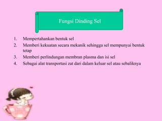 1. Mempertahankan bentuk sel
2. Memberi kekuatan secara mekanik sehingga sel mempunyai bentuk
tetap
3. Memberi perlindungan membran plasma dan isi sel
4. Sebagai alat transportasi zat dari dalam keluar sel atau sebaliknya
Fungsi Dinding Sel
 