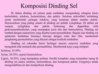 Komposisi Dinding Sel
Di dalam dinding sel primer pada tumbuhan mengandung sebagian besar
karbohidrat, selulosa, hemiselulosa, dan pektin. Selulosa mikrofibril terhubung
untuk membentuk jaringan selulosa, yang tertanam dalam matriks pektin.
Hemiselulosa yang paling umum di dinding sel adalah xyloglukan. Di dalam sel
rumput, xyloglukan dan pektin berkurang dan digantikan oleh
glukoranarabinoksilan, yang merupakan jenis lain dari hemiselulosa. Dinding sel
tumbuh dengan mekanisme yang disebut asam pertumbuhan. Bagian luar dinding sel
epidermis tumbuhan biasanya diresapi dengan cutin dan lilin, membentuk
penghalang permeabilitas yang dikenal sebagai kutikula tumbuhan.
Dinding sel sekunder berisi berbagai macam senyawa tambahan yang
mengubah sifat mekanik dan permeabilitas. Membentuk kayu yang meliputi:
Selulosa, 35-50%
Xylan, 20-35%, sejenis hemiselulosa
Lignin, 10-25%, yang merupakan polimer fenolik kompleks yang menembus ruang di
dinding sel antara selulosa, hemiselulosa, dan komponen pektin. Fungsinya untuk
mengendalikan air dan memperkuat dinding.
 