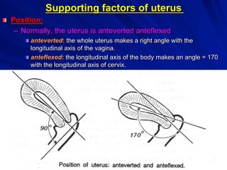 Dr. Gamal Said 19
Supporting factors of uterus
! Position:
–  Normally, the uterus is anteverted anteflexed
! anteverted: the whole uterus makes a right angle with the
longitudinal axis of the vagina.
! anteflexed: the longitudinal axis of the body makes an angle = 170
with the longitudinal axis of cervix.
 