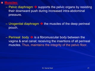 Dr. Gamal Said 21
! Muscles:
–  Pelvic diaphragm è supports the pelvic organs by resisting
their downward push during increased intra-abdominal
pressure.
–  Urogenital diaphragm è the muscles of the deep perineal
pouch.
–  Perineal body è is a fibromuscular body between the
vagina & anal canal; receiving the insertions of all perineal
muscles. Thus, maintains the integrity of the pelvic floor.
 