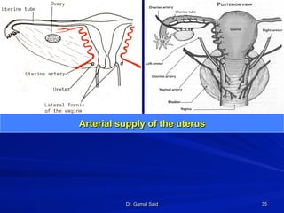 Dr. Gamal Said 35
Arterial supply of the uterus
 