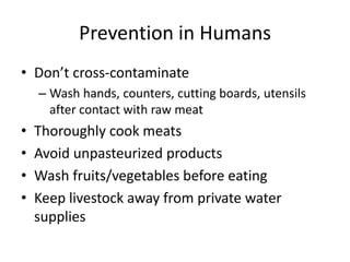 Prevention in Humans
• Don’t cross-contaminate
– Wash hands, counters, cutting boards, utensils
after contact with raw meat
• Thoroughly cook meats
• Avoid unpasteurized products
• Wash fruits/vegetables before eating
• Keep livestock away from private water
supplies
Center for Food Security and Public
Health, Iowa State University, 2012
 