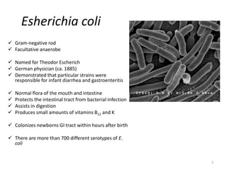 2
Esherichia coli
 Gram-negative rod
 Facultative anaerobe
 Named for Theodor Escherich
 German physician (ca. 1885)
 Demonstrated that particular strains were
responsible for infant diarrhea and gastroenteritis
 Normal flora of the mouth and intestine
 Protects the intestinal tract from bacterial infection
 Assists in digestion
 Produces small amounts of vitamins B12 and K
 Colonizes newborns GI tract within hours after birth
 There are more than 700 different serotypes of E.
coli
 