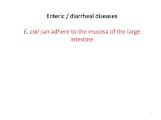 7
Enteric / diarrheal diseases
E. coli can adhere to the mucosa of the large
intestine
 