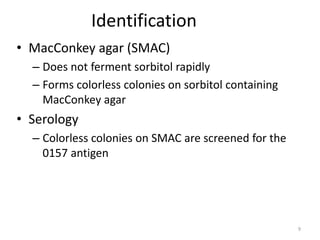 9
Identification
• MacConkey agar (SMAC)
– Does not ferment sorbitol rapidly
– Forms colorless colonies on sorbitol containing
MacConkey agar
• Serology
– Colorless colonies on SMAC are screened for the
0157 antigen
 