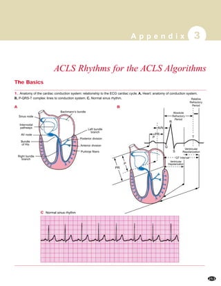 ACLS Rhythms for the ACLS Algorithms
A p p e n d i x 3
253
Posterior division
Anterior division
Purkinje fibers
Sinus node
Bachmann’s bundle
AV node
Bundle
of His
Right bundle
branch
Left bundle
branch
Internodal
pathways
1. Anatomy of the cardiac conduction system: relationship to the ECG cardiac cycle. A, Heart: anatomy of conduction system.
B, P-QRS-T complex: lines to conduction system. C, Normal sinus rhythm.
A
The Basics
B
AVN
P
Q
S
R
Absolute
Refractory
Period
Relative
Refractory
Period
Ventricular
Repolarization
PR
PR
QT Interval
T
Ventricular
DepolarizationP
PR
C Normal sinus rhythm
 