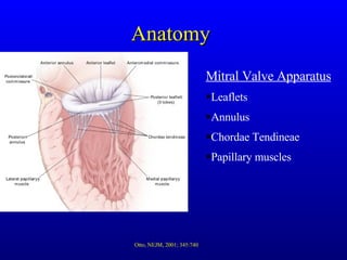 Anatomy Mitral Valve Apparatus Leaflets Annulus Chordae Tendineae Papillary muscles Otto, NEJM, 2001; 345:740 