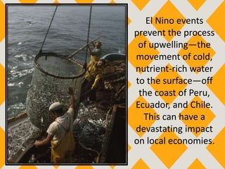 El Nino events
prevent the process
of upwelling—the
movement of cold,
nutrient-rich water
to the surface—off
the coast of Peru,
Ecuador, and Chile.
This can have a
devastating impact
on local economies.
 