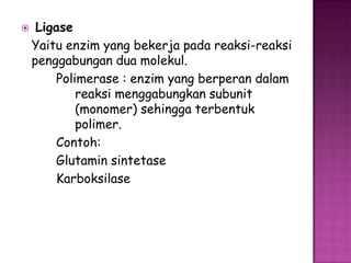     Ligase
    Yaitu enzim yang bekerja pada reaksi-reaksi
    penggabungan dua molekul.
        Polimerase : enzim yang berperan dalam
            reaksi menggabungkan subunit
            (monomer) sehingga terbentuk
            polimer.
        Contoh:
        Glutamin sintetase
        Karboksilase
 