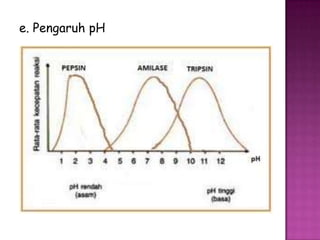 e. Pengaruh pH
 