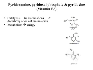 Pyridoxamine, pyridoxal phosphate & pyridoxine
(Vitamin B6)
• Catalyzes transaminations &
decarboxylations of amino acids
• Metabolism  energy
pyridoxine
 