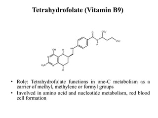 Tetrahydrofolate (Vitamin B9)
• Role: Tetrahydrofolate functions in one-C metabolism as a
carrier of methyl, methylene or formyl groups
• Involved in amino acid and nucleotide metabolism, red blood
cell formation
 