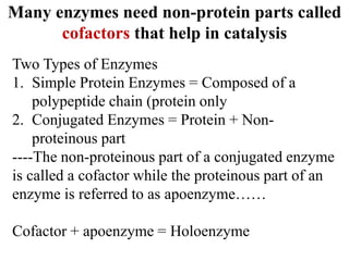 Many enzymes need non-protein parts called
cofactors that help in catalysis
Two Types of Enzymes
1. Simple Protein Enzymes = Composed of a
polypeptide chain (protein only
2. Conjugated Enzymes = Protein + Non-
proteinous part
----The non-proteinous part of a conjugated enzyme
is called a cofactor while the proteinous part of an
enzyme is referred to as apoenzyme……
Cofactor + apoenzyme = Holoenzyme
 