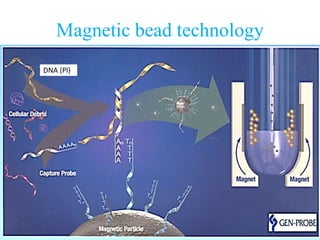 Magnetic bead technology
DNADNA (Pl)
 