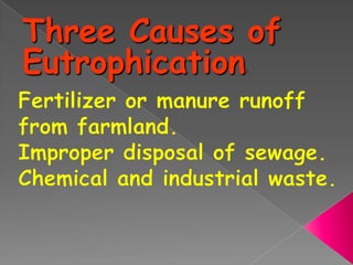 Eutrophication  ppt