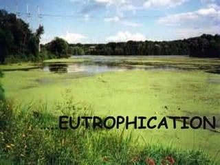 …..EUTROPHICATION
 