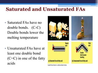 Saturated and Unsaturated FAs

• Saturated FAs have no
  double bonds. (C-C)
  Double bonds lower the
  melting temperature

• Unsaturated FAs have at
  least one double bond
  (C=C) in one of the fatty
  acids
 