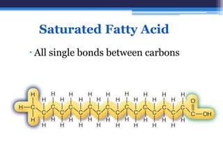 Saturated Fatty Acid
 All single bonds between carbons
 