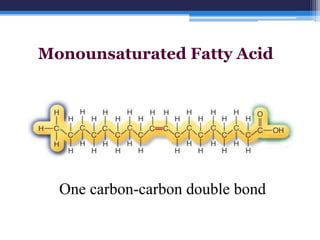 Monounsaturated Fatty Acid




  One carbon-carbon double bond
 