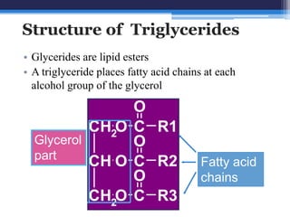 Structure of Triglycerides
• Glycerides are lipid esters
• A triglyceride places fatty acid chains at each
  alcohol group of the glycerol

                O
           CH2O C R1
  Glycerol      O
  part
           CH O C R2                    Fatty acid
                O                       chains
           CH2O C R3
 