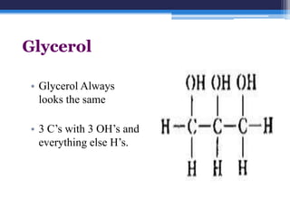 Glycerol

• Glycerol Always
  looks the same

• 3 C’s with 3 OH’s and
  everything else H’s.
 