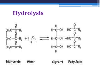 Hydrolysis
 