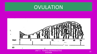 OVULATION
UNIT 3: FEMALE REPRODUCTIVE
SYSTEM
33
 