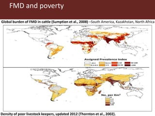 FMD and poverty
Global burden of FMD in cattle (Sumption et al., 2008) –South America, Kazakhstan, North Africa
Density of poor livestock keepers, updated 2012 (Thornton et al., 2002).
 