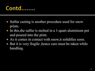  Sulfur casting is another procedure used for snow
prints.
 In this,the sulfur is melted in a 1-quart aluminium pot
and poured into the print.
 As it comes in contact with snow,it solidifies soon.
 But it is very fragile ,hence care must be taken while
handling.
27
 