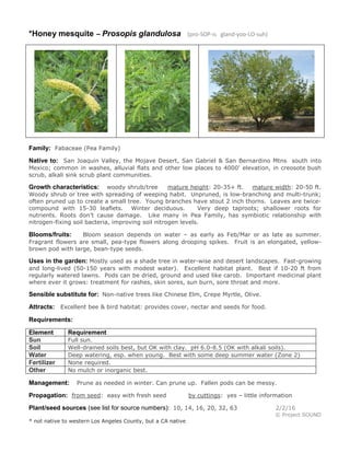 Gardening sheet prosopis glandulosa | PDF