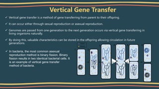 Vertical Gene Transfer
 Vertical gene transfer is a method of gene transferring from parent to their offspring.
 It can occur either through sexual reproduction or asexual reproduction.
 Genomes are passed from one generation to the next generation occurs via vertical gene transferring in
living organisms naturally.
 By doing this, valuable characteristics can be stored in the offspring allowing circulation in future
generations.
 In bacteria, the most common asexual
reproduction method is binary fission. Binary
fission results in two identical bacterial cells. It
is an example of vertical gene transfer
method of bacteria.
 