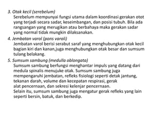 3. Otak kecil (serebelum)
Serebelum mempunyai fungsi utama dalam koordinasi gerakan otot
yang terjadi secara sadar, keseimbangan, dan posisi tubuh. Bila ada
rangsangan yang merugikan atau berbahaya maka gerakan sadar
yang normal tidak mungkin dilaksanakan.
4. Jembatan varol (pons varoli)
Jembatan varol berisi serabut saraf yang menghubungkan otak kecil
bagian kiri dan kanan,juga menghubungkan otak besar dan sumsum
tulang belakang.
5. Sumsum sambung (medulla oblongata)
Sumsum sambung berfungsi menghantar impuls yang datang dari
medula spinalis menujuke otak. Sumsum sambung juga
mempengaruhi jembatan, refleks fisiologi seperti detak jantung,
tekanan darah, volume dan kecepatan respirasi, gerak
alat pencernaan, dan sekresi kelenjar pencernaan.
Selain itu, sumsum sambung juga mengatur gerak refleks yang lain
seperti bersin, batuk, dan berkedip.
 