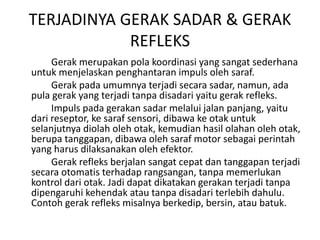 TERJADINYA GERAK SADAR & GERAK
REFLEKS
Gerak merupakan pola koordinasi yang sangat sederhana
untuk menjelaskan penghantaran impuls oleh saraf.
Gerak pada umumnya terjadi secara sadar, namun, ada
pula gerak yang terjadi tanpa disadari yaitu gerak refleks.
Impuls pada gerakan sadar melalui jalan panjang, yaitu
dari reseptor, ke saraf sensori, dibawa ke otak untuk
selanjutnya diolah oleh otak, kemudian hasil olahan oleh otak,
berupa tanggapan, dibawa oleh saraf motor sebagai perintah
yang harus dilaksanakan oleh efektor.
Gerak refleks berjalan sangat cepat dan tanggapan terjadi
secara otomatis terhadap rangsangan, tanpa memerlukan
kontrol dari otak. Jadi dapat dikatakan gerakan terjadi tanpa
dipengaruhi kehendak atau tanpa disadari terlebih dahulu.
Contoh gerak refleks misalnya berkedip, bersin, atau batuk.
 