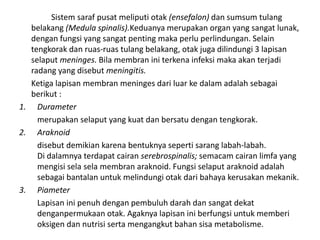 Sistem saraf pusat meliputi otak (ensefalon) dan sumsum tulang
belakang (Medula spinalis).Keduanya merupakan organ yang sangat lunak,
dengan fungsi yang sangat penting maka perlu perlindungan. Selain
tengkorak dan ruas-ruas tulang belakang, otak juga dilindungi 3 lapisan
selaput meninges. Bila membran ini terkena infeksi maka akan terjadi
radang yang disebut meningitis.
Ketiga lapisan membran meninges dari luar ke dalam adalah sebagai
berikut :
1. Durameter
merupakan selaput yang kuat dan bersatu dengan tengkorak.
2. Araknoid
disebut demikian karena bentuknya seperti sarang labah-labah.
Di dalamnya terdapat cairan serebrospinalis; semacam cairan limfa yang
mengisi sela sela membran araknoid. Fungsi selaput araknoid adalah
sebagai bantalan untuk melindungi otak dari bahaya kerusakan mekanik.
3. Piameter
Lapisan ini penuh dengan pembuluh darah dan sangat dekat
denganpermukaan otak. Agaknya lapisan ini berfungsi untuk memberi
oksigen dan nutrisi serta mengangkut bahan sisa metabolisme.
 