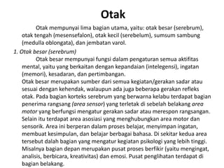 Otak
Otak mempunyai lima bagian utama, yaitu: otak besar (serebrum),
otak tengah (mesensefalon), otak kecil (serebelum), sumsum sambung
(medulla oblongata), dan jembatan varol.
1. Otak besar (serebrum)
Otak besar mempunyai fungsi dalam pengaturan semua aktifitas
mental, yaitu yang berkaitan dengan kepandaian (intelegensi), ingatan
(memori), kesadaran, dan pertimbangan.
Otak besar merupakan sumber dari semua kegiatan/gerakan sadar atau
sesuai dengan kehendak, walaupun ada juga beberapa gerakan refleks
otak. Pada bagian korteks serebrum yang berwarna kelabu terdapat bagian
penerima rangsang (area sensor) yang terletak di sebelah belakang area
motor yang berfungsi mengatur gerakan sadar atau merespon rangsangan.
Selain itu terdapat area asosiasi yang menghubungkan area motor dan
sensorik. Area ini berperan dalam proses belajar, menyimpan ingatan,
membuat kesimpulan, dan belajar berbagai bahasa. Di sekitar kedua area
tersebut dalah bagian yang mengatur kegiatan psikologi yang lebih tinggi.
Misalnya bagian depan merupakan pusat proses berfikir (yaitu mengingat,
analisis, berbicara, kreativitas) dan emosi. Pusat penglihatan terdapat di
bagian belakang.
 