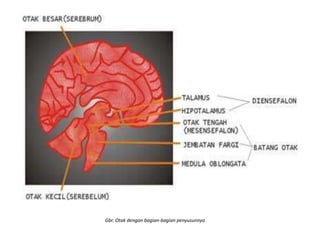 Gbr. Otak dengan bagian-bagian penyusunnya
 
