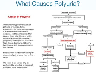 What Causes Polyuria?
 