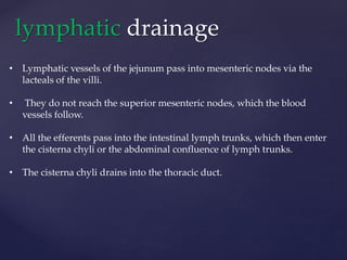 lymphatic drainage
• Lymphatic vessels of the jejunum pass into mesenteric nodes via the
lacteals of the villi.
• They do not reach the superior mesenteric nodes, which the blood
vessels follow.
• All the efferents pass into the intestinal lymph trunks, which then enter
the cisterna chyli or the abdominal confluence of lymph trunks.
• The cisterna chyli drains into the thoracic duct.
 